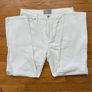 Everlane Cheeky Jean, 29 Ankle